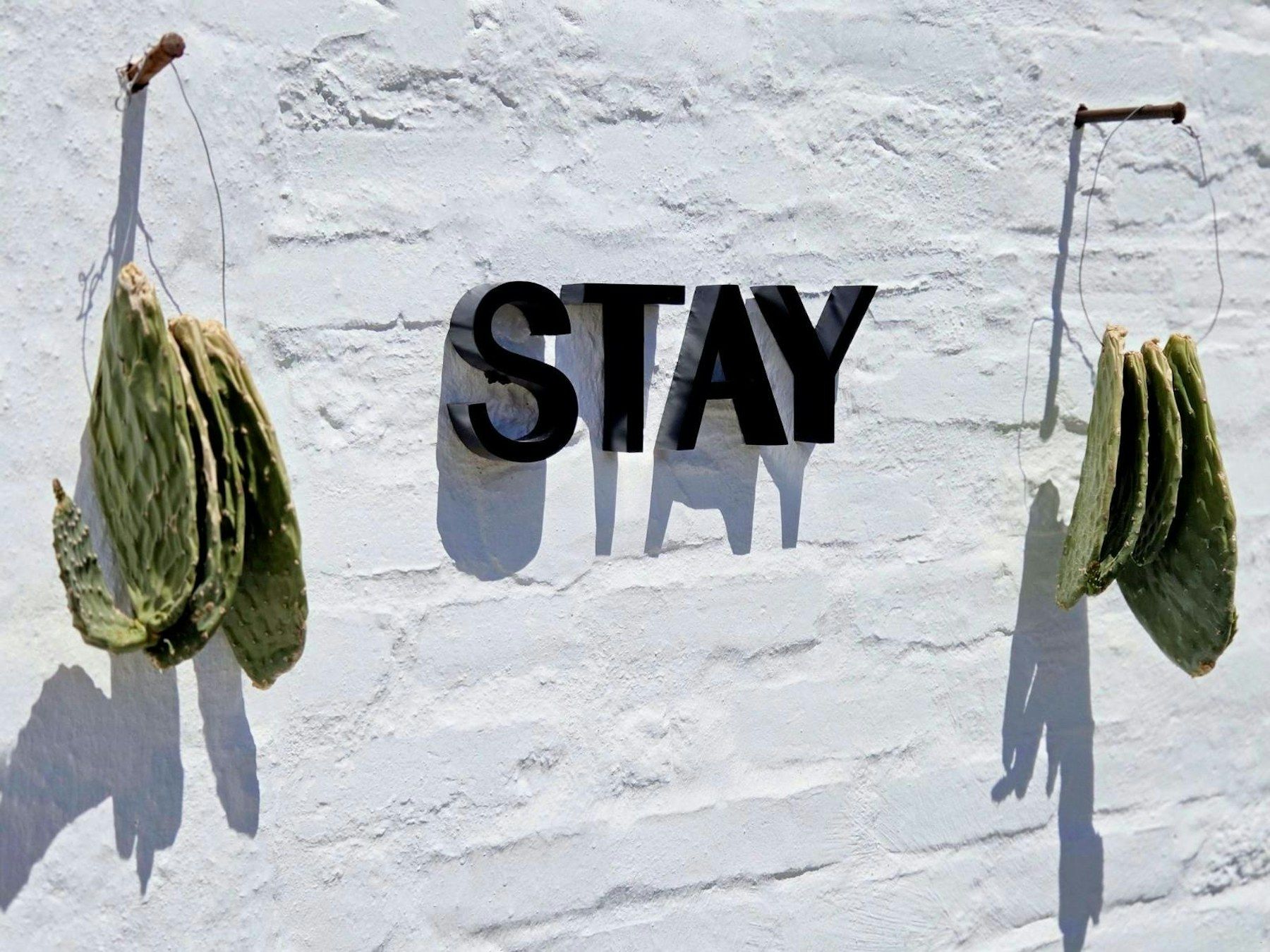 The STAY sign on the whitewashed wall